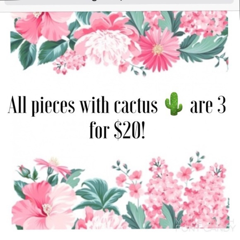 🌵Closet Donation Sale 3-for-$20🌵